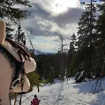 Rukahillchalet5 In - Out - Skipass & Summer Activities X2 *